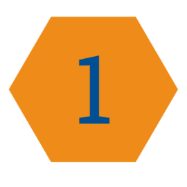 Step 1 Icon 1